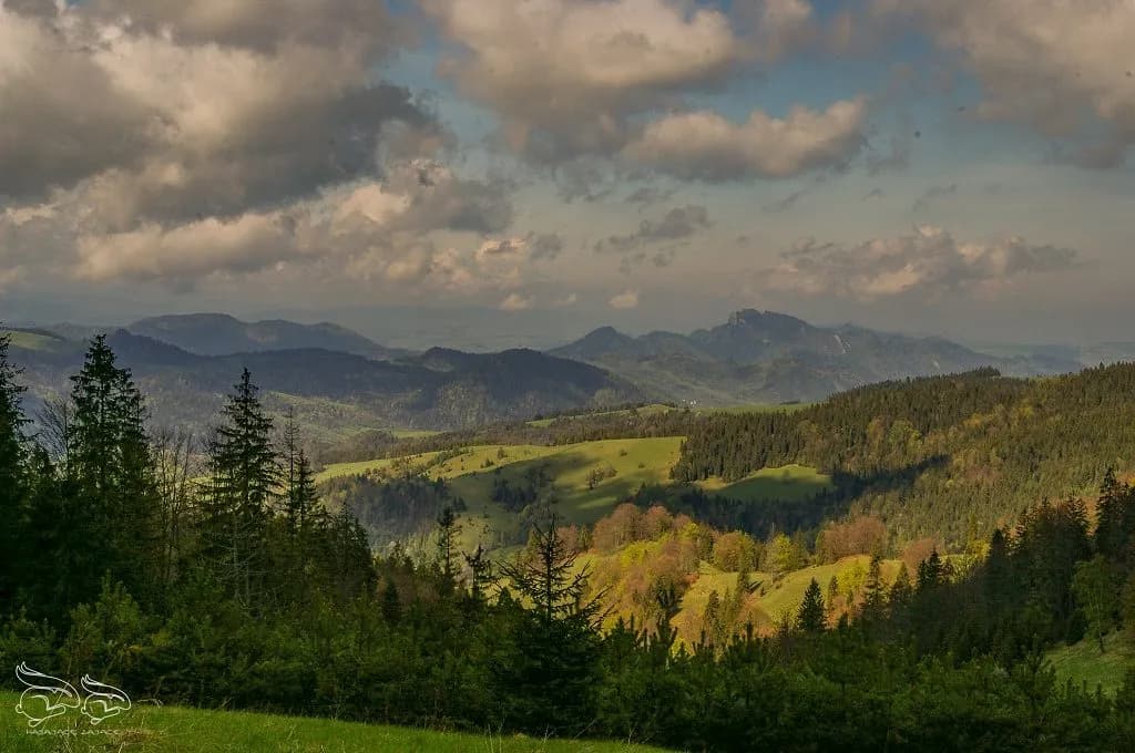 Beskid Sądecki najpiękniejsze miejsca, które musisz zobaczyć na własne oczy